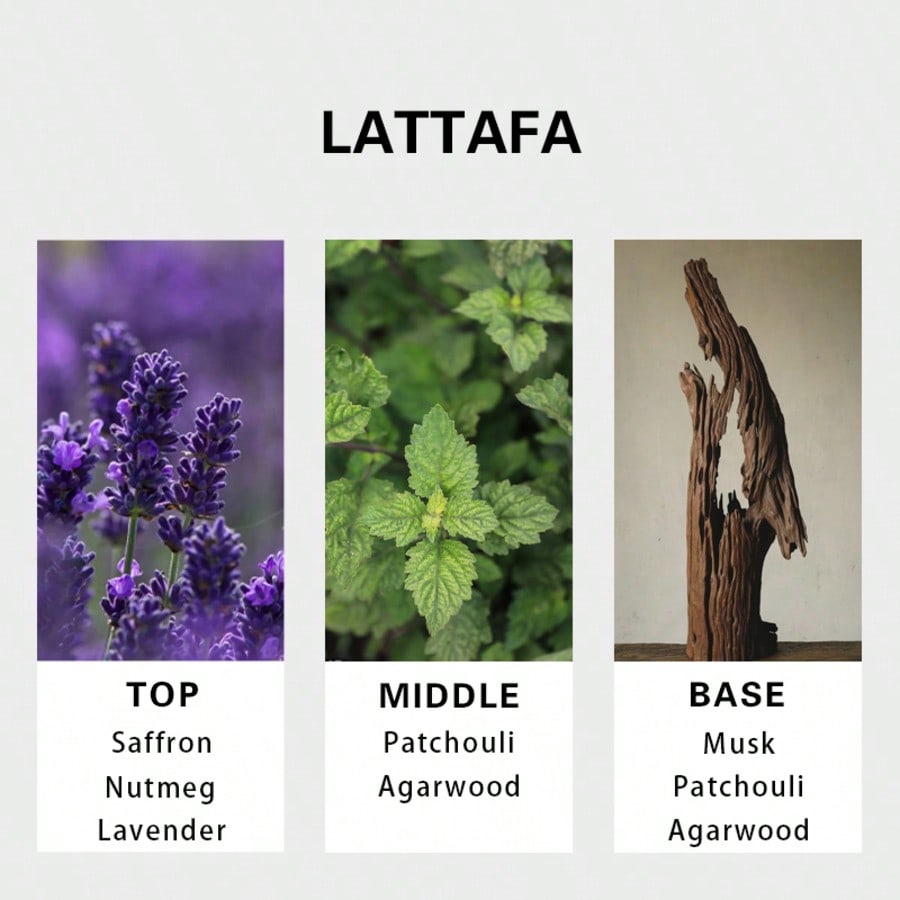 Lattafa Badee Al Oud For Glory – Fragrance And Perfume Bewertung und Preis