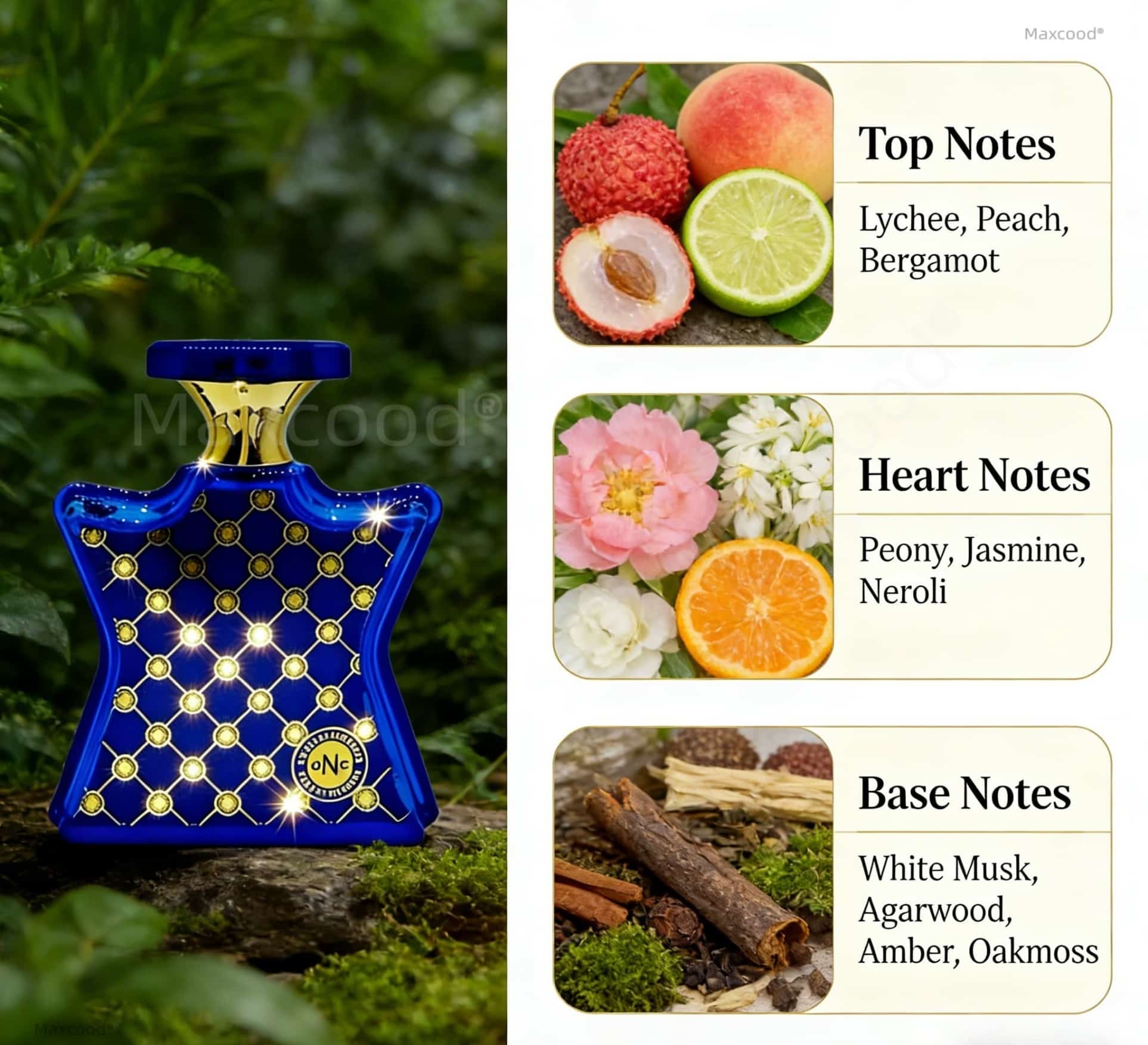 Zitrus- und Blumenparfüm, lang – Perfume Floral Fragrance Bewertung und Preis